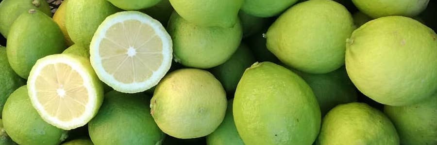 limone verdello