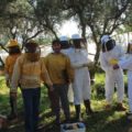 formazione apicoltura
