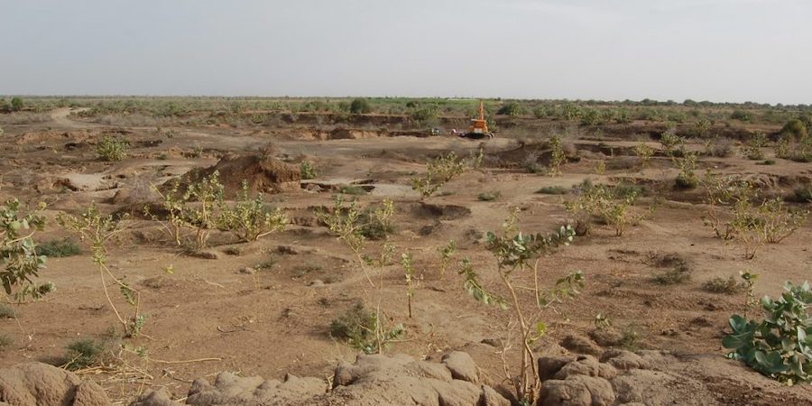 desertificazione