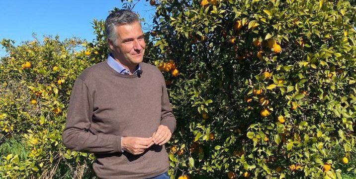 Palermo, sequestrate arance prive di tracciabilità: Diana ringrazia Corpo Forestale