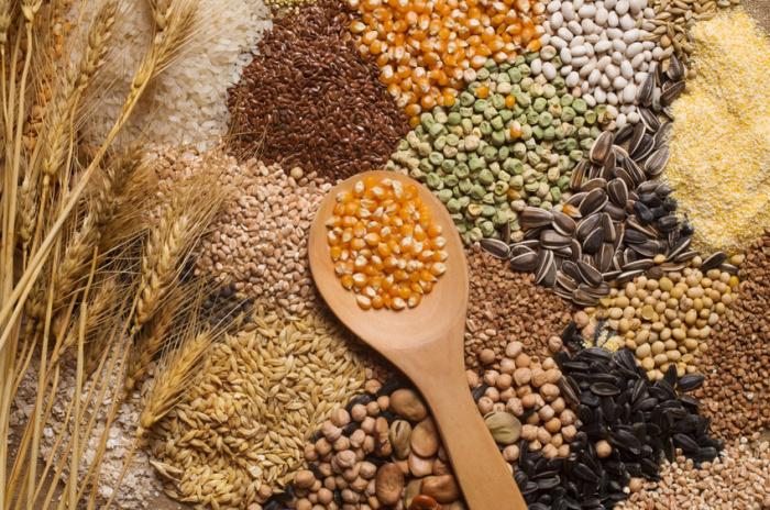 Palermo conquista il secondo posto nella classifica delle province leader nella produzione cerealicola