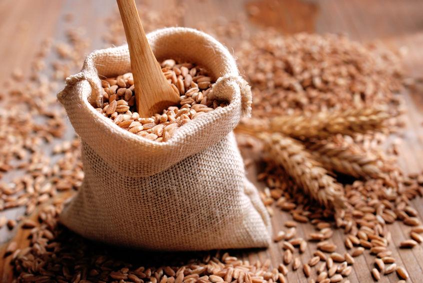 Monococco, il grano con glutine digeribile: sfornato il primo pane ad Assoro (En)