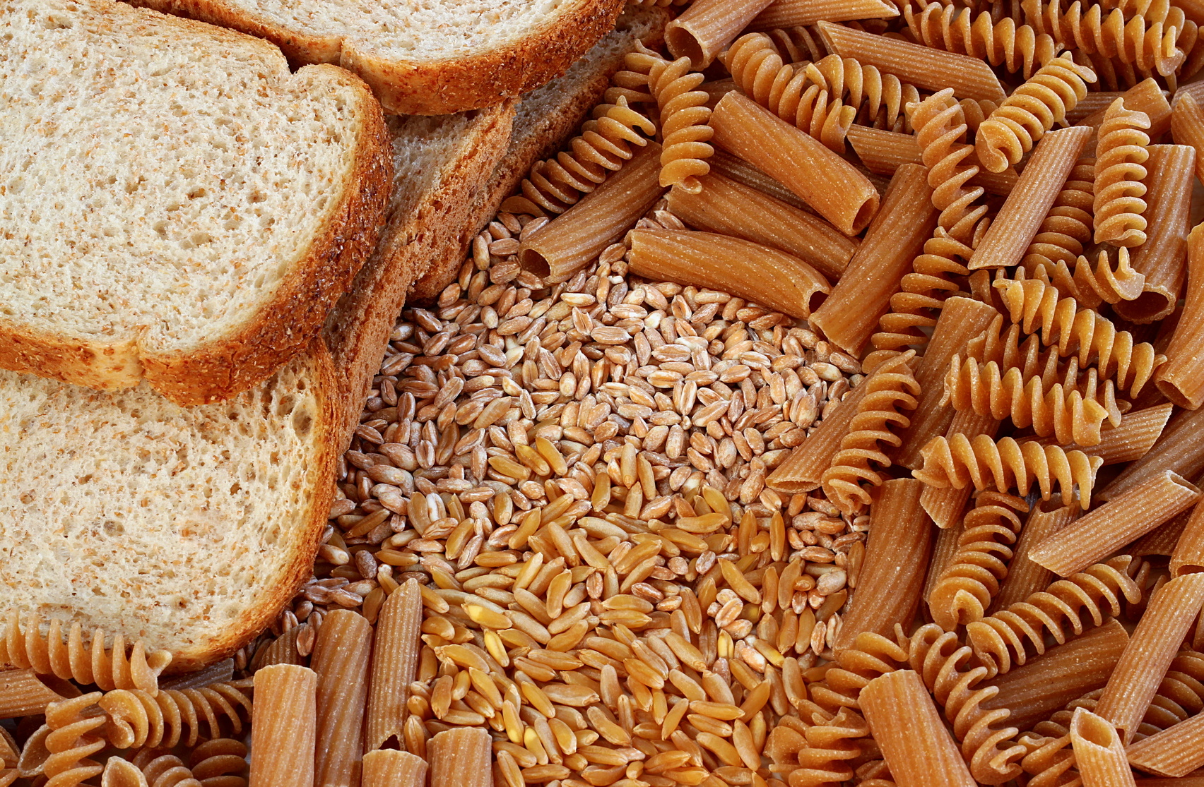 “Difendere grano e pasta italiani”, petizione della Cia: oltre 40mila firme