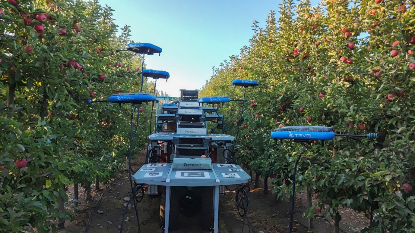 Robot che raccoglie le mele: il futuro dell’agricoltura?