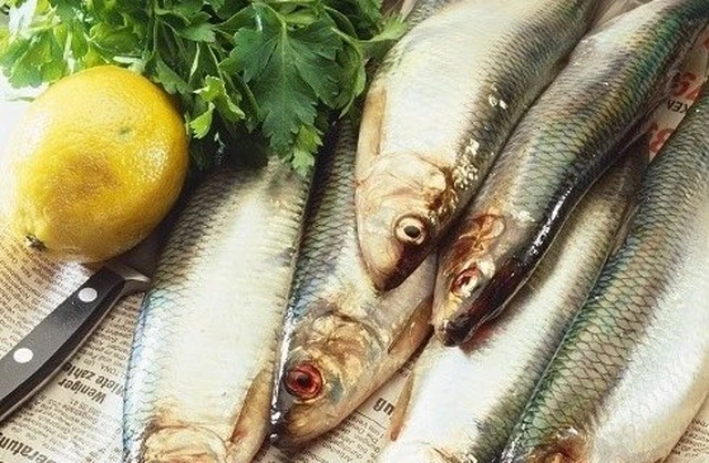 A Palermo Ììsa il “pesce povero”: degustazioni, mostre e musica a Isola delle Femmine