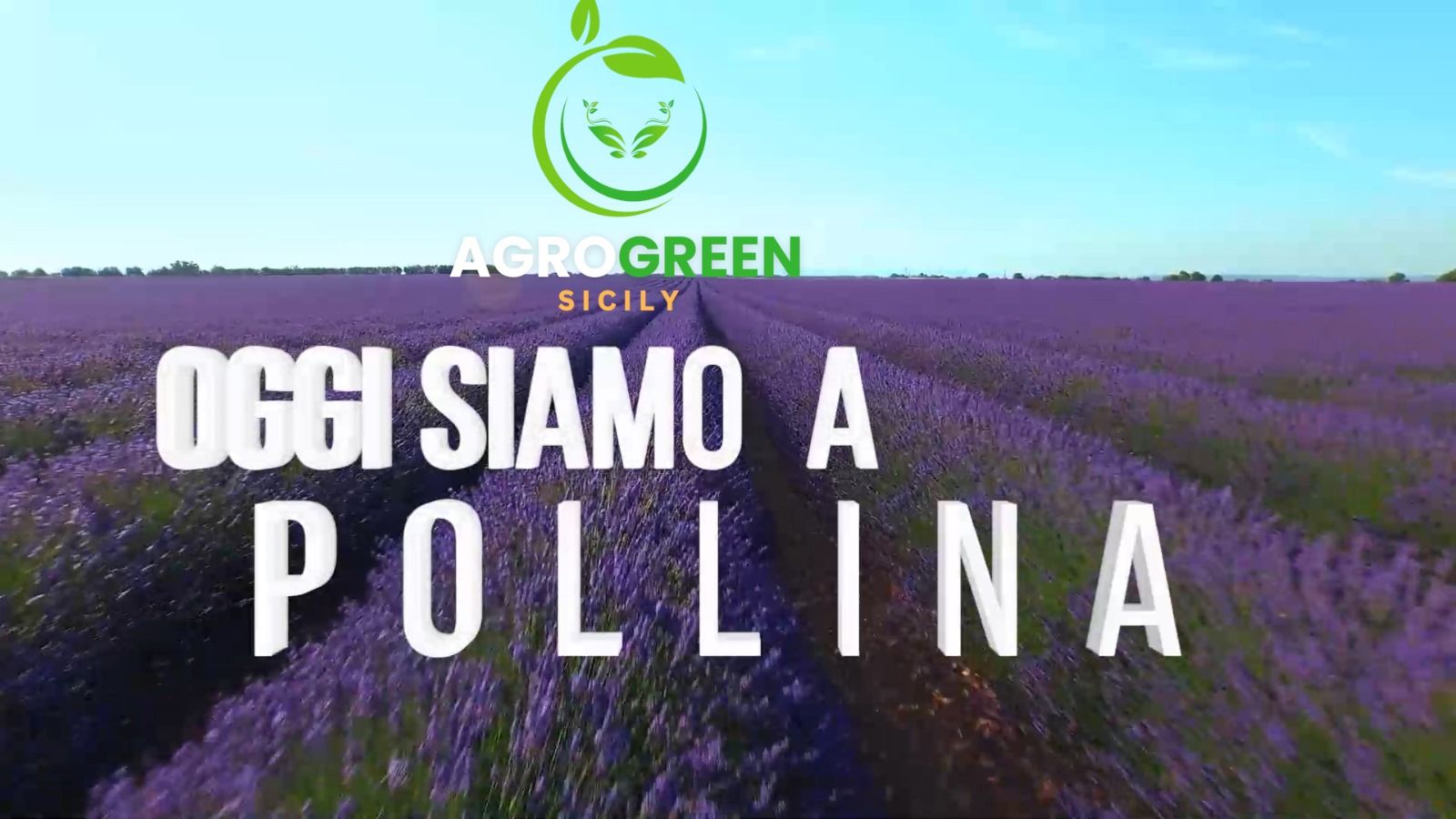 La manna, il cibo degli dei: “AgroGreen Sicily” fa tappa a Pollina e Finale CLICCA PER IL VIDEO