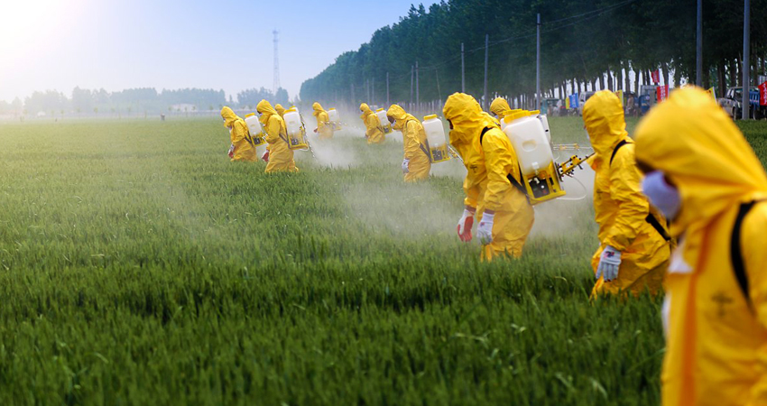 Dimezzamento uso pesticidi, la Commissione Agri sposta le lancette dal 2030 al 2035